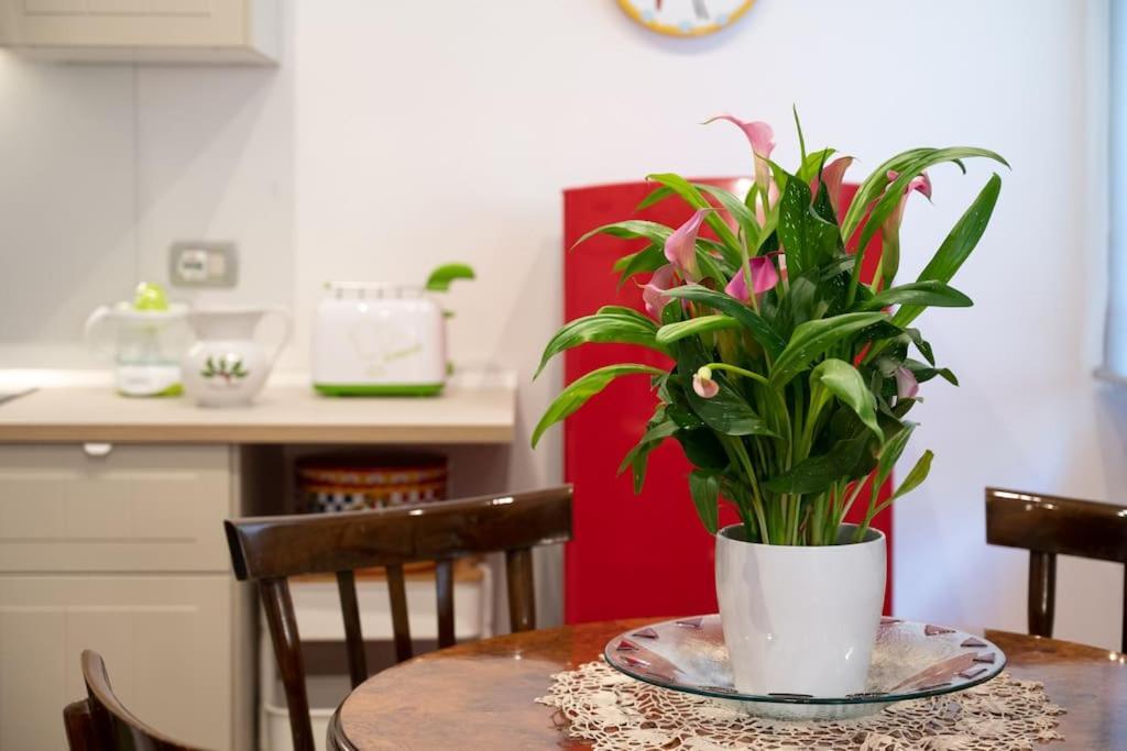 Casa Bouganville - St. Peter Romantic Apartment Kültér fotó